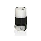 Leviton 5369-PLC Industrial Pilot Light Connector