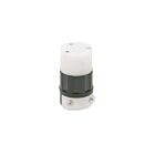 Leviton 5869-C 1-15R Connector