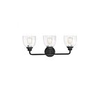 Savoy House Essentials 8-7205-3-BK Vale 3-Lights 180W Black Vanity Light