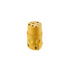 Leviton 620CV 2P3W 20A 250V Grounding Connector