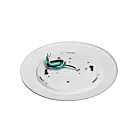 American Lighting RD6-30-WH 15W White Flush Mount