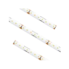 American Lighting STLHD-UWW-16 2.19 W/ft 16.4' Under Cabinet Strip Light