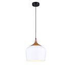 Canarm Raphael IPL614A01WH 1-Light White Pendant Light