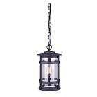 Canarm Iol343Bk Duffy 1-Light 100W Black Outdoor Pendant Light