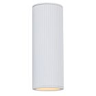 Canarm Rexton IOL639WH White 120W Outdoor Light