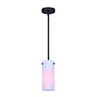 Canarm LANDER IPL1063A01BK 1-Light Matte Black 60W Rod Pendant
