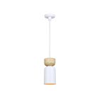 Canarm Caleb IPL1152A01WHW 1-Light Matte White and Faux Wood Rod Pendant