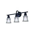 Canarm DREE IVL1053A03BK 3-Lights Black 180W Vanity Light