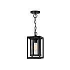 CWI Lighting Mulvane 0415P7-1-101 Black 1 Light 60W Outdoor Hanging Light