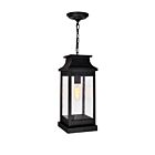 CWI Lighting Milford 0418P7L-1 Black 1 Light 60W Outdoor Pendant