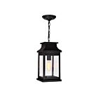CWI Lighting Milford 0418P7S-1 Black 1 Light 60W Outdoor Pendant