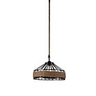 CWI Lighting Padma 9731P16-1-101 Black 1 Light 60W Chandelier