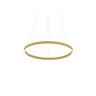 Dainolite Circulo CIR-3263C-AGB 1 Light Aged Brass 63W LED 1-tier Chandelier