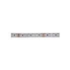 Dainolite DLT-OD-RGB 5M LED Waterproof RGB Tape Light