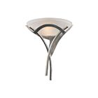 ELK Home Aurora 001-TS Tarnished Silver 1 Light 100W Wall Sconce