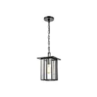 ELK Home Radnor 46693-1 Matte Black 1 Light 100W Outdoor Pendant