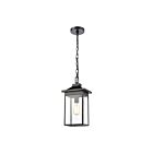 ELK Home Lamplighter 46703-1 Matte Black 1 Light 100W Outdoor Pendant