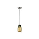 ELK Home Natures Collage 60217-1 Satin Nickel 1 Light 100W Mini Pendant