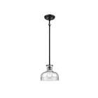 ELK Home Orinoco 67915-1 Matte Black 1 Light 60W Mini Pendant