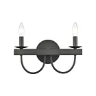 ELK Home Williamson 75074-2 Black 2 Lights 120W Vanity Light