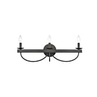 ELK Home Williamson 75075-3 Black 3 Lights 180W Vanity Light