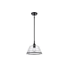 ELK Home Boyer 82165-1 Matte Black 1 Light 60W Pendant