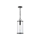 ELK Home 89495-1 Hopkins 100W 1-Light Charcoal Black Outdoor Hanging Light