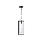 ELK Home 90013-1 Augusta 100W 1-Light Matte Black Outdoor Hanging Light