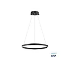 ET2 Lighting E22724-BK Groove WiZ 1-Light 27W Black Pendant
