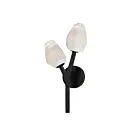 ET2 Lighting Blossom E32792-93BK 2-Lights Black 8W LED Wall Sconce