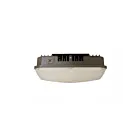 Etlin Daniels CNM60-341F 60W Dark Bronze Canopy Light