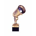 Focus Industries CDL-20-NL-ACL 9W LED Directional Bullet Light