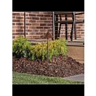 Kichler 15443TZT Bronze 2.30W LED Path Light