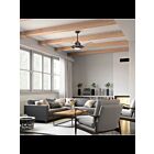 Kichler Iras 300241AVI Anvil Iron Ceiling Fan
