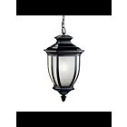 Kichler 9843BK 1-Light Black 200W Outdoor Pendant