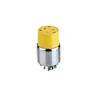 Leviton 520CA 20A Armored Ground Connector