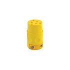 Leviton 520CV 20A Pvc Grounding Connector