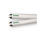 Ledvance FO40841XPECO3 40W 5' OCTRON T8 Fluorescent Tube