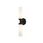 Livex Lighting Aero 10104-04 2-Lights 120W Black Vanity Light