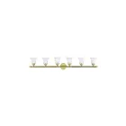 Livex Lighting 1066-02 Neptune 6-Lights 600W Polished Brass Bath Vanity Light