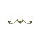 Livex Lighting 13673-01 Somerville 3-Lights 300W Antique Brass Bath Vanity Light