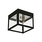 Livex Lighting Nyack 20588-07 2-Lights 120W Ceiling Mount