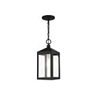 Livex Lighting 20591-04 Nyack 1-Light 100W Black with Brushed Nickel Cluster Outdoor Pendant Light