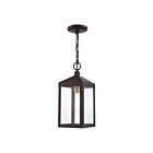Livex Lighting 20591-07 Nyack 1-Light 100W Bronze with Antique Brass Cluser Outdoor Pendant Light