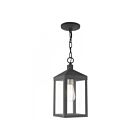 Livex Lighting 20591-76 Nyack 1-Light 100W Scandinavian Gray Outdoor Pendant Light