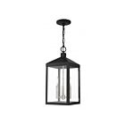 Livex Lighting 20593-04 Nyack 3-Lights 180W Black with Brushed Nickel Cluster Outdoor Pendant Light