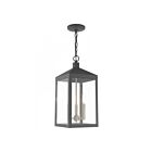 Livex Lighting 20593-76 Nyack 3-Lights 180W Scandinavian Gray Outdoor Pendant Light