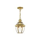Livex Lighting 2152-02 Monterey 1-Light 100W Polished Brass Outdoor Pendant Light
