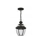 Livex Lighting 2152-04 Monterey 1-Light 100W Black Outdoor Pendant Light