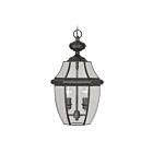 Livex Lighting 2255-04 Monterey 2-Lights 120W Black Outdoor Pendant Light